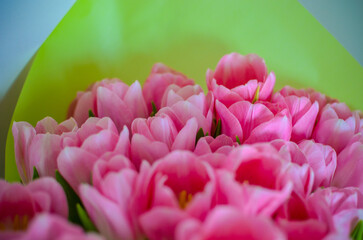 Tulips flowers bouquet with pink tulips in green paper