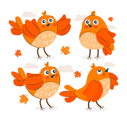 Set of orange birds