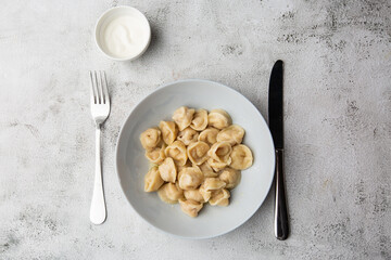 Meat dumplings, homemade russian pelmeni in bowl with sour cream isolated on bright background