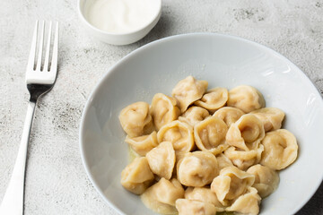 Meat dumplings, homemade russian pelmeni in bowl with sour cream isolated on bright background