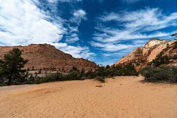  Zion National Park in the Middle of a sunny Spring Day