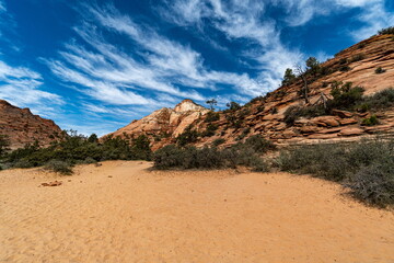  Zion National Park in the Middle of a sunny Spring Day