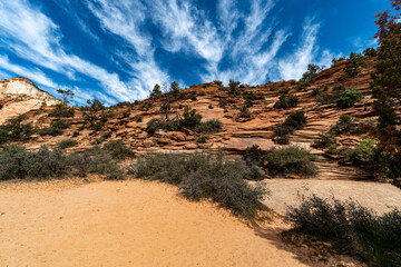  Zion National Park in the Middle of a sunny Spring Day