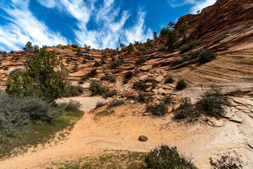  Zion National Park in the Middle of a sunny Spring Day