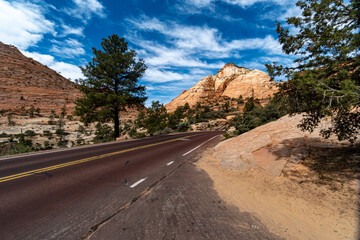 Road at Zion National Park in the Middle of a sunny Spring Day