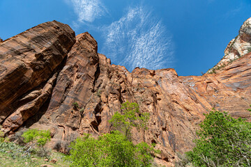  Zion National Park in the Middle of a sunny Spring Day