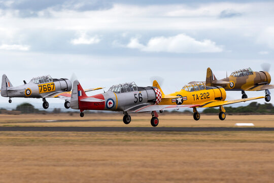 RAAF Williams, Point Cook, Australia - March 2, 2014: Former Royal New Zealand Air Force (RNZAF) North American AT-6C Harvard VH-NAH taking off in formation with three other T-6 aircraft.