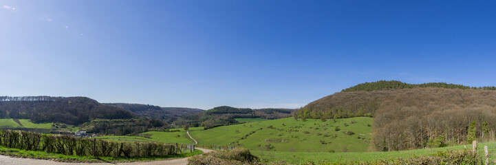 Fototapeta premium panorama of a green meadow in early spring time with trees and dead wood on it, Mullerthal, Luxembourg