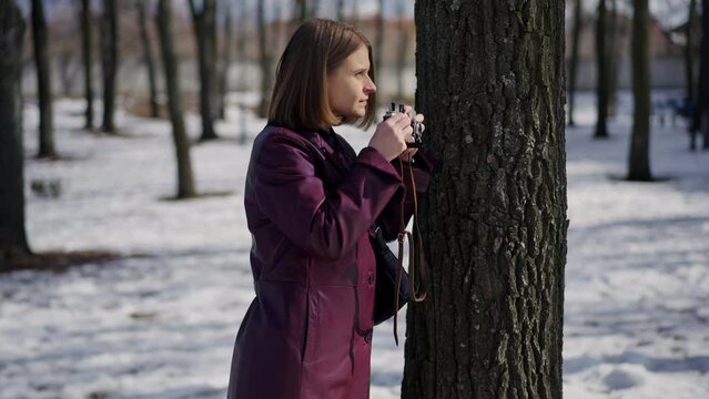 Side view young slim woman hiding at tree in winter park taking photos with camera. Portrait of jealous Caucasian lady spying peeping outdoors. Private detective investigating case collecting evidence