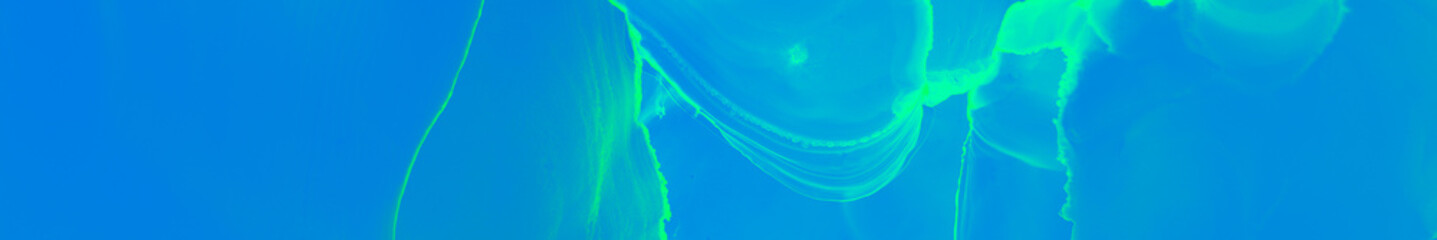 Aqua Watercolor. Green Aquarelle Illustration.