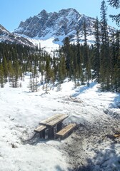 Picnic Table at Canadian Rocky Mountains Wilderness Campground in Springtime