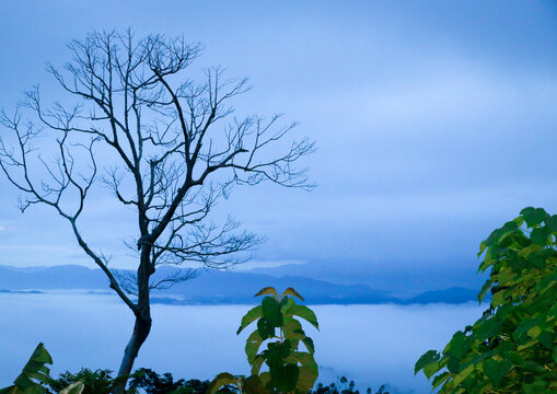 Spectacular Sajek Valley in Rangamati, Bangladesh