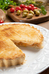Close up piece of Chicken pie with cottage cheese, tomatoes, onion and olives on wooden table and white plate