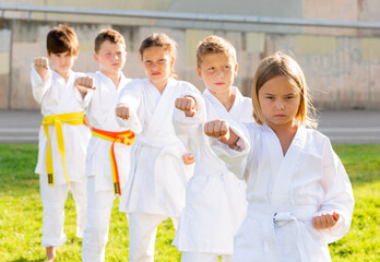 Concentrated tween girls and boys in white kimonos exercising new techniques during outdoors group taekwondo class on green lawn on summer day - obrazy, fototapety, plakaty