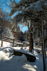 Snow Covered Houses in Snowshoe West Virginia