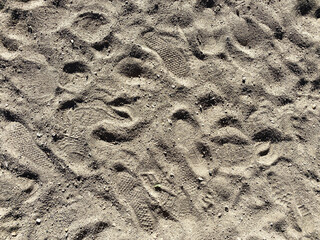 beach footprints sandy lake shore beach sunset feet shoreline shoe boot prints dirt walking path