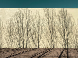 block building warehouse wall parking lot tree shadows sunny sunlight trees shadow