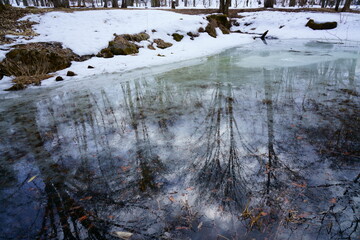 まだ雪がここる早春の林の中の池がある風景