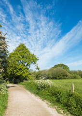 Country footpath, trees, field and blue sky