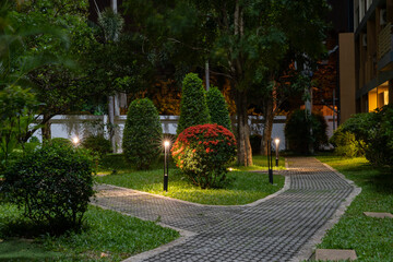Night garden with beautiful trimmed bushes and paths.
