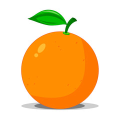 Orange fruit vector on white background.