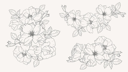 doodle line art rose flower bouquet elements collection