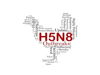 Avian Influenza Virus Subtype H5N8 outbreaks in Poultry, Typography illustrations  