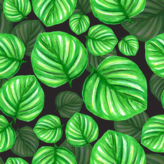 Watercolor pattern velvety green tropical leaf on a dark background for your seamless design