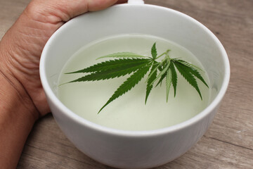 Cannabis leaf tea (or marijuana leaf) is a new alternative. that are beneficial to health serve with clay cups.
