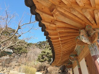 korean traditional temple in winter, 한국 겨울의 절, 강화도 전등사 jeondeungsa, 맑은 하늘 맑은 날씨, sky
