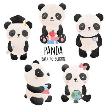 Panda back to school, cute panda vector illustration