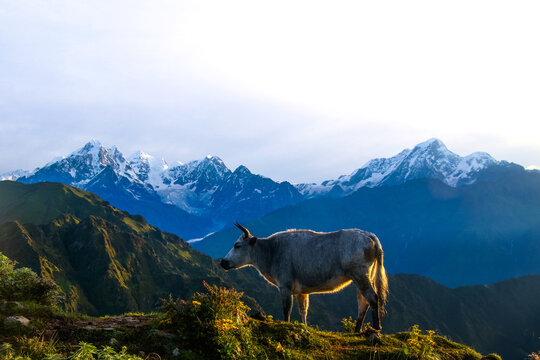 from Paach pokhari Mountain Range