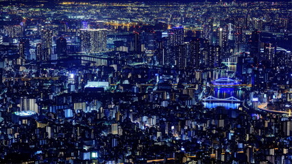 Naklejka premium 東京スカイツリーから望む夜景