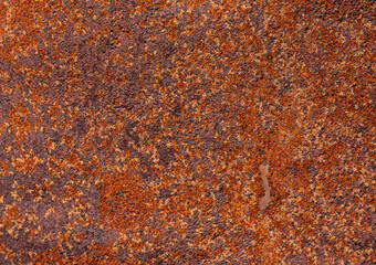 Panoramic grunge rusty metal texture, rust and oxidation metal background. Old metal iron panel.