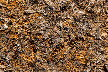 vintage background texture. old wood panels