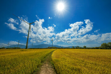 Panoramic view of wind farm or wind park, with high wind turbines for generation electricity with copy space. Green energy concept to reduce climate change and global warming.