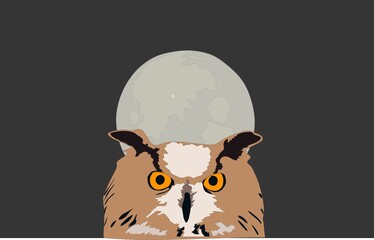 moon owl