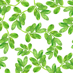 Seamless floral pattern of watercolor guava leaves