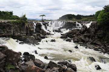 水量の多い美しい曽木の滝