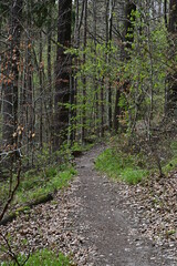Walderlebnispfad Grabengrund (Schlüsselfeld)