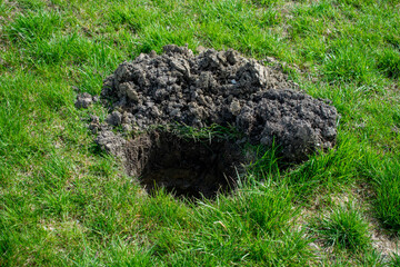 Pit in the ground. A hole dug for planting trees or plants on the lawn. Spring planting trees in the garden.	