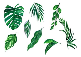 Beautiful green tropical leaves set design