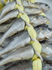 신선한 해산물, 굴비, 반 건조 생선