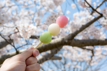 桜と団子