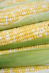 natural organic sweet corn on the cob closeup