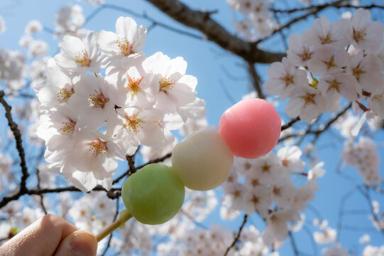 桜と団子