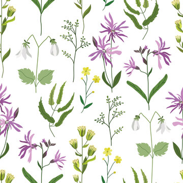 Delicate bouquets of flowers isolated on a pink, purple background. Vector seamless pattern of botanical elements. Field herbs and plants. Design for fabric, clothes, wallpaper. Stock illustration.