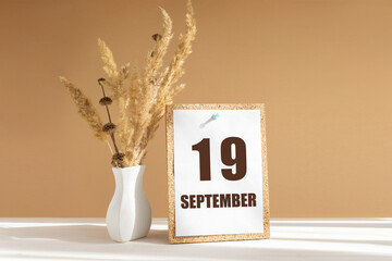 september 19. 19th day of month, calendar date.White vase with dried flowers on desktop in rays of...