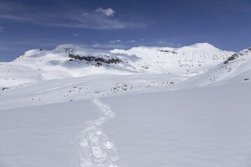 Snowshoe Tracks Virgin White Snow Landscape High Mountain Peak Canadian Rocky Mountains, Banff National Park