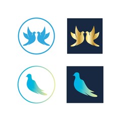 Bird wing Dove icon Template vector illustration design 